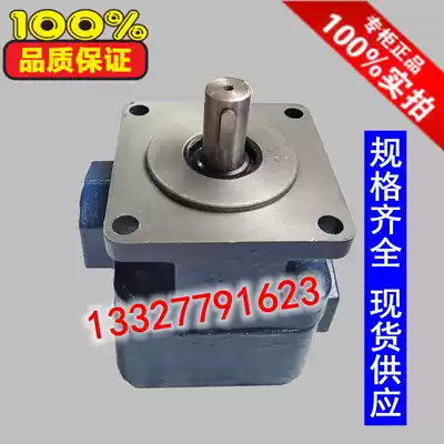 Vane pump YB1-100 32 40 50 63 80 lubrication pump YB1-125 hydraulic pump grinder accessories