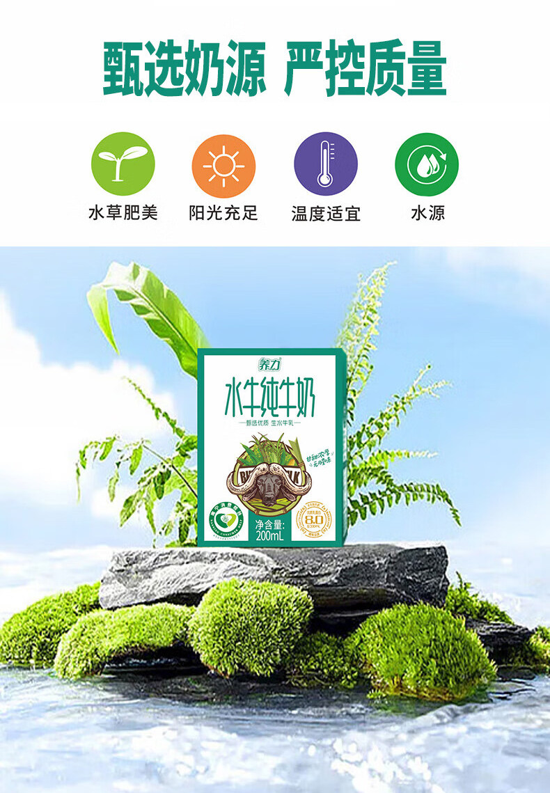 安享好物 安享B级纯奶-养力水牛奶  