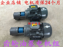 CB-B2 5CB-B10CB-B6CB-B4JZ gear oil pump motor group oil transfer pump set wear-resistant gear oil pump