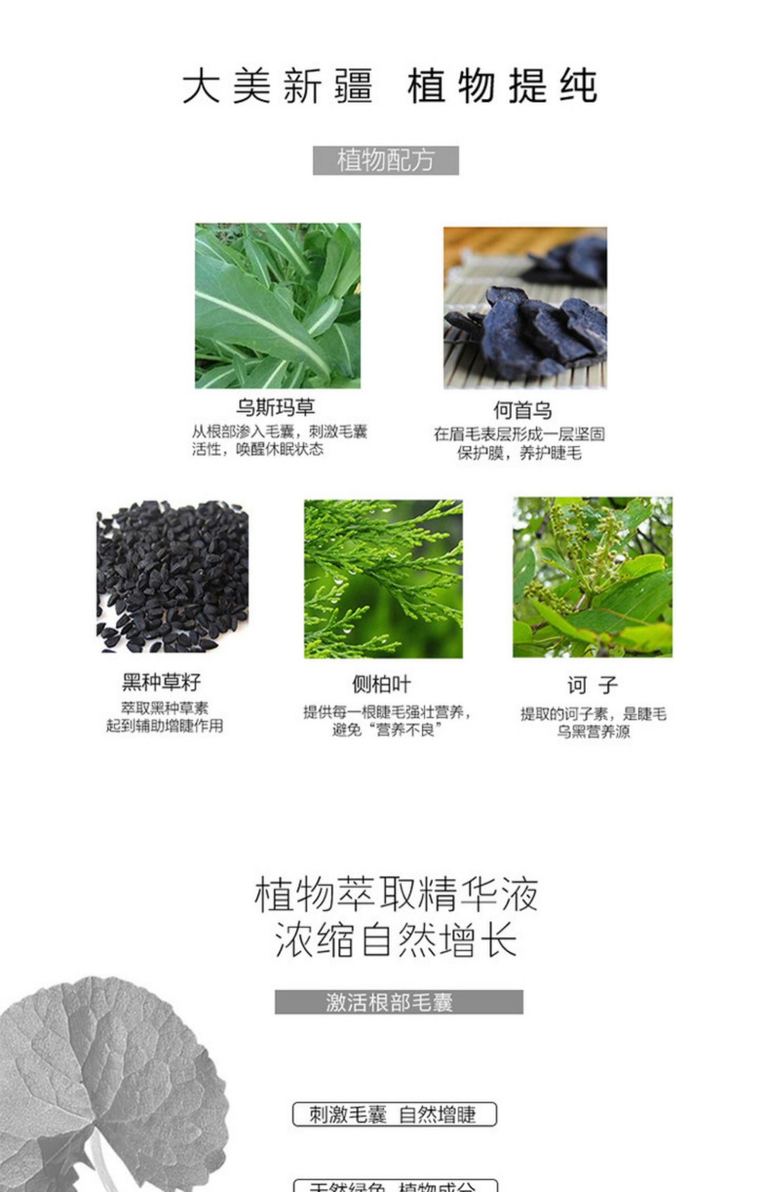 Tân Cương Ottoman Lông mi Tăng trưởng Lông mi lỏng Tăng trưởng Chất lỏng Dinh dưỡng Chất lỏng Dài Dài Curl Mascara mascara tốt