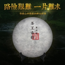 Zichang Yi Wu ancient tree pure material spring tea Puer tea raw tea 2017 mint pond a class of ancient tree tea