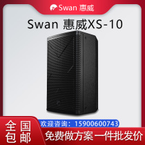 Hivi XS10 12 15 professional stage karaoke audio conference KTV system wall-mounted speaker