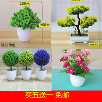 Simulation plant small potted fake flower small tree grass ball bonsai plastic fake flower simulation floral set accessories ornaments