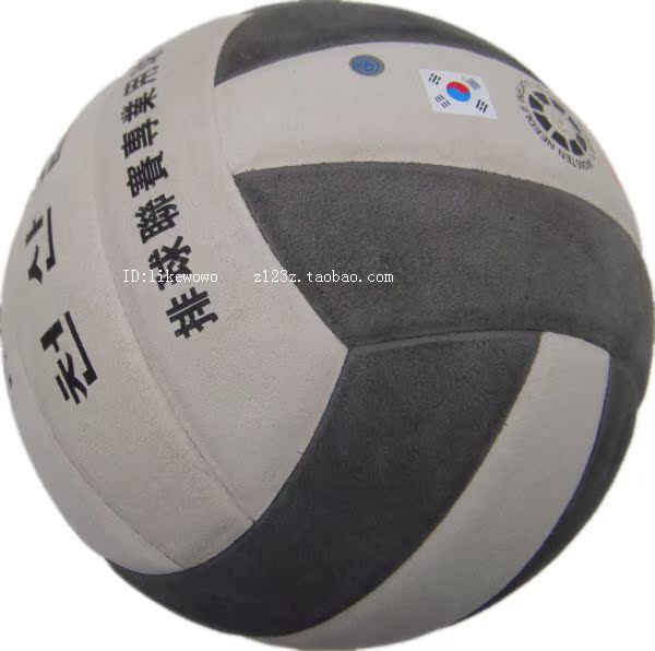 Ballon de volley - Ref 2015225 Image 5