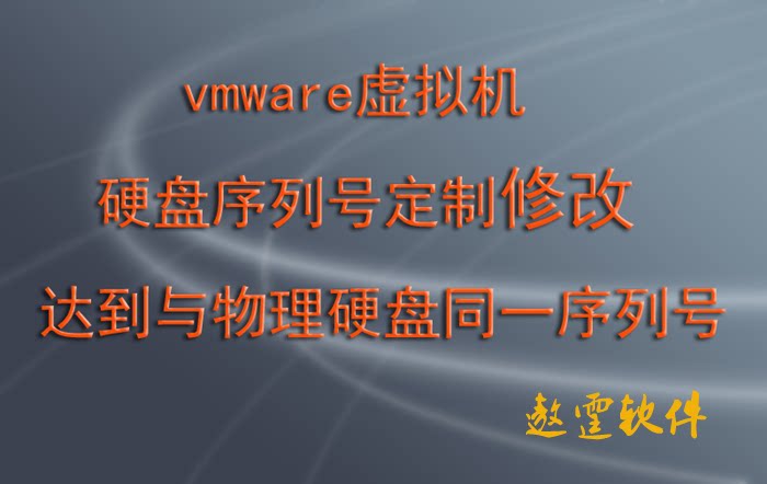 vmware virtual machine hard disc serial number hardware serial number hard disc modification