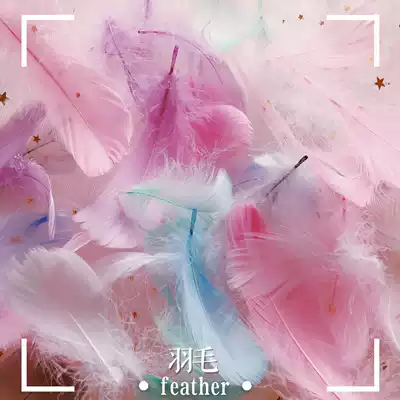 Feather props white goose feather decoration ins nail jewelry Photo props posing cosmetics shooting background
