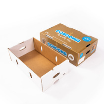 pp plastic hollow board turnover box plastic corrugated board carton wantong board anti-static storage box fruit box