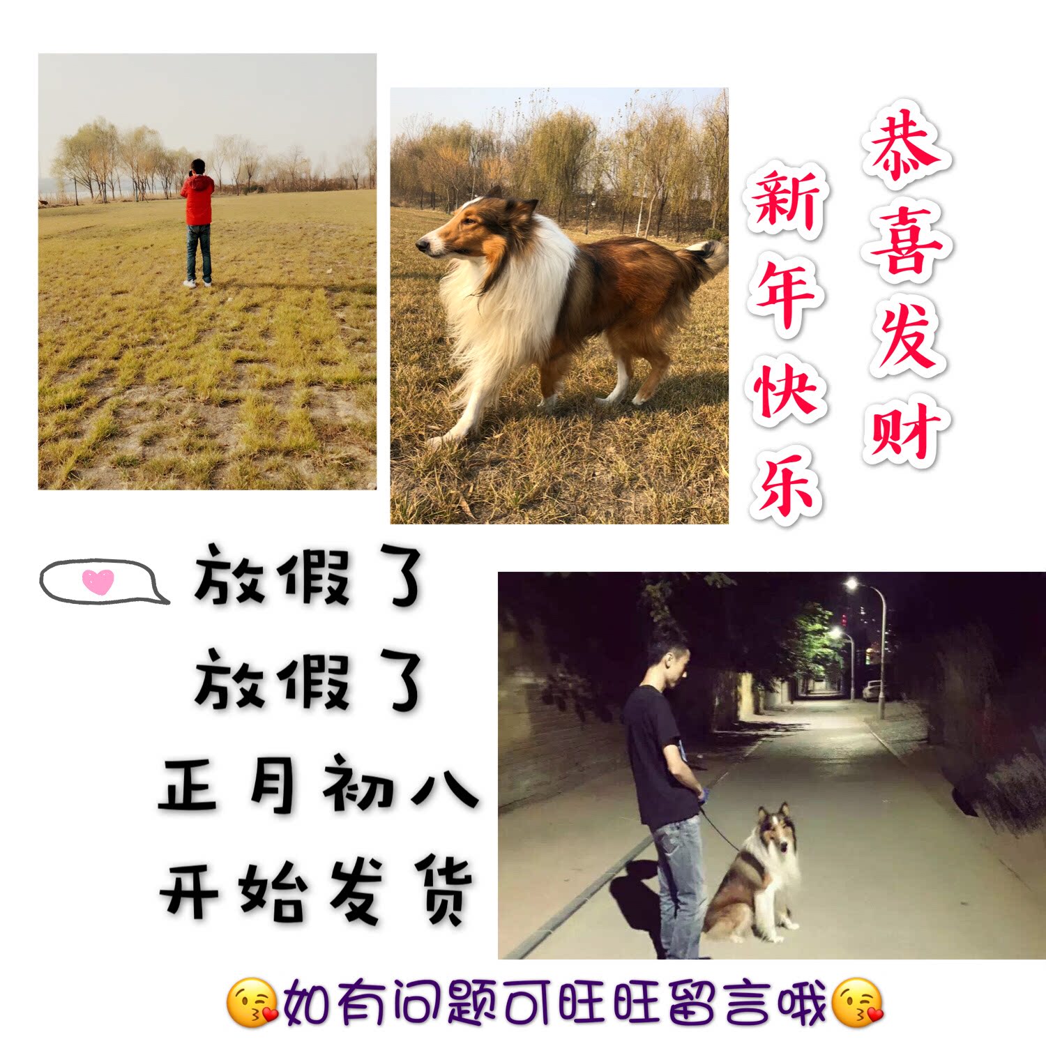 全国包邮puppower北美天然犬粮松狮专用成犬幼犬狗粮kg