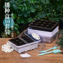 Succulent green plant seedling three-piece set with breathable hole transparent cover seedling puncher word label set