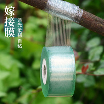 Fruit tree grafting film plastic Bud special film wrapping tape self-adhesive non-disassembly transparent winding film without knotting