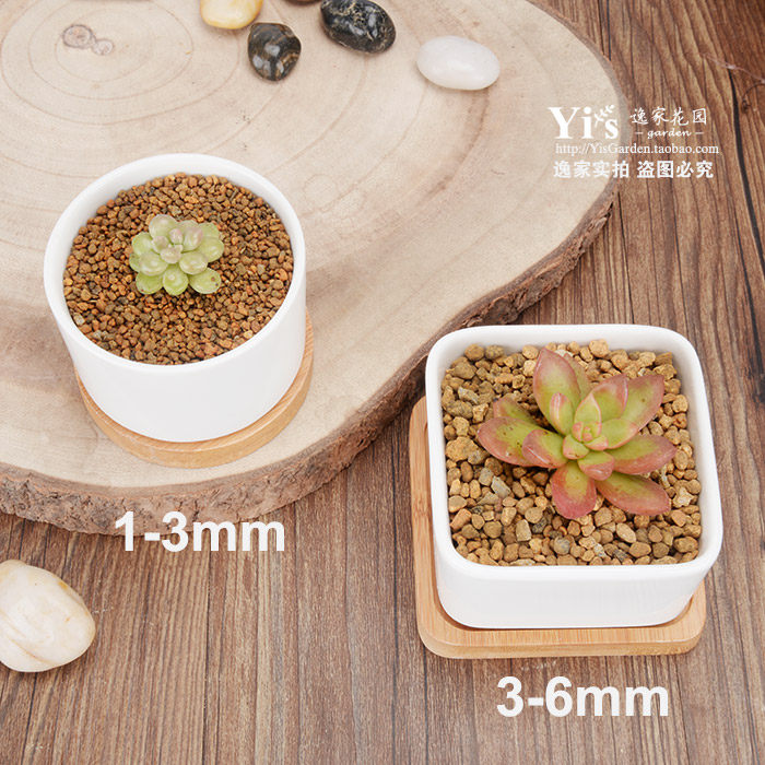 硬质桐生砂日本进口过筛去粉末多肉铺面拌土专用颗粒介质500ml装 感恩价 肉铺 过筛 粉末 介质 颗粒途虎网