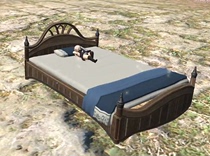 (Sand House) ff14 Final Fantasy Mount Magic Flying Bed