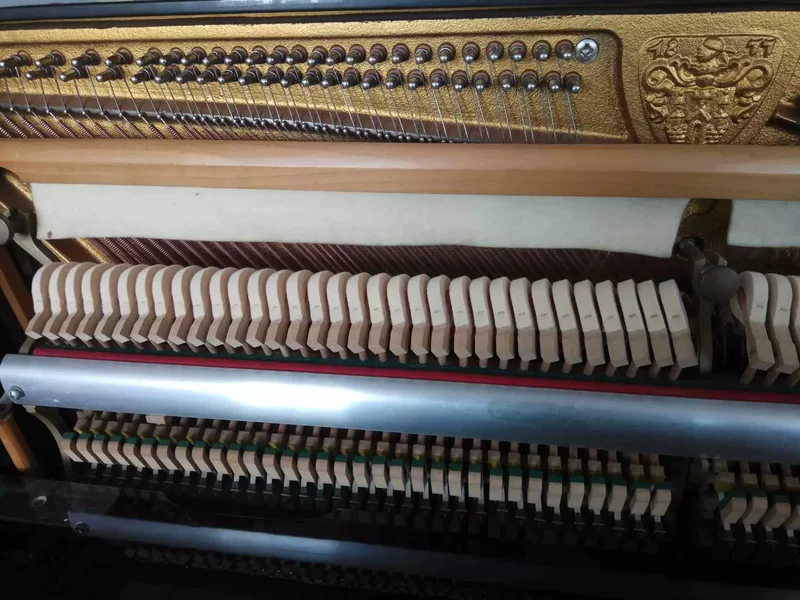 William Steinberg piano gốc Đức WILH.STEINBERG hiểu mọi người tham khảo ý kiến