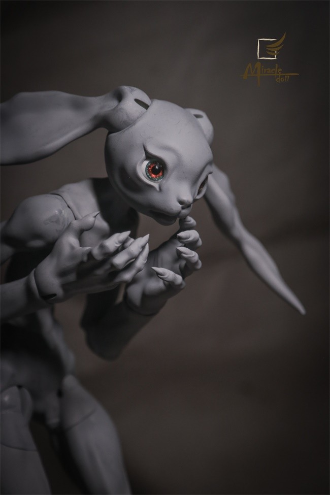 miracle_crazyrabbit_02.jpg