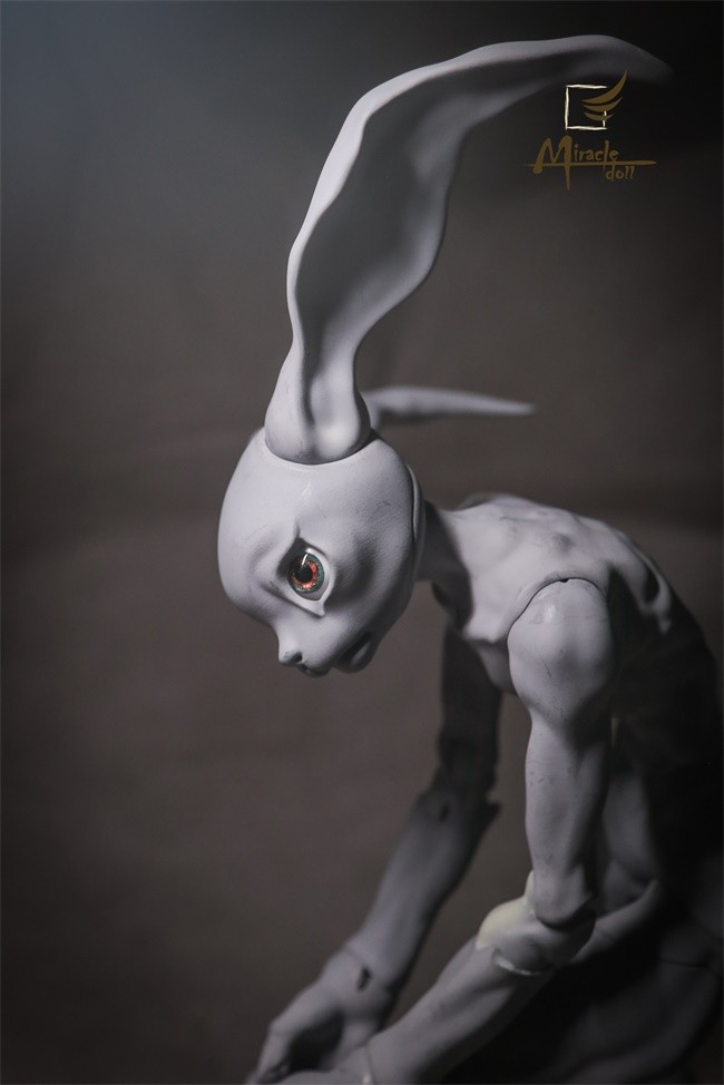 miracle_crazyrabbit_04.jpg