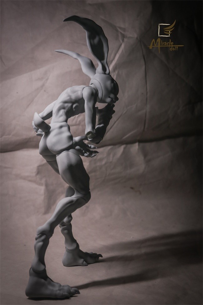 miracle_crazyrabbit_13.jpg