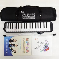 Chimei Little Musician 37-key Mouth Organ