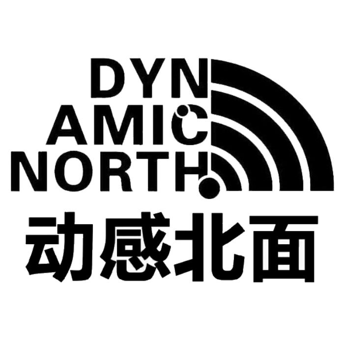 动感北面DYNAMIC NORTH羽绒服