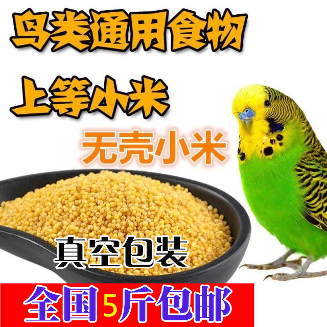 5kg) 2 5kg parrot eats millet, shellless millet, yellow rice, corn, yellow millet, bird food, bird food