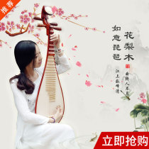 Hualuqin rhyme Rosewood pipa professional performance pipa musical instrument introductory mahogany beginner grade test pipa piano