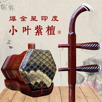 Hualac Rhyming Professional Play Small Leaf Purple Sandalwood Dihu Musical Instrument Adults Teaching Suzhou Crafts Class Boutique Erhu