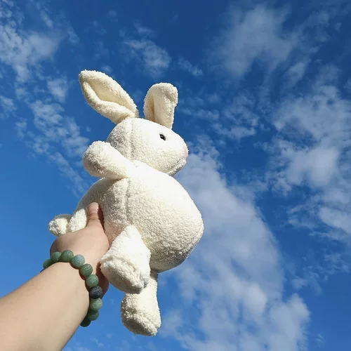 Милый кролик, кукла, плюшевая игрушка, популярно в интернете, подарок на день рождения