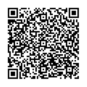 Telecommande - pointeur laser - Ref 384163 Image 7