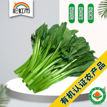Beijing-Tianjin-Hebei full of fresh organic vegetables cabbage cabbage Moss 250g rainbow rain Beijing farm distribution