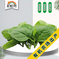 Beijing Tianjin and Hebei Manbai rainbow rain fresh vegetables ecological vegetables fungus vegetables 250g same city distribution