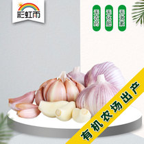 Rainbow rain ecological vegetable fresh garlic garlic 250g Beijing Tianjin and Hebei Manbai