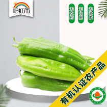 Rainbow Rain Beijing Farm distributes organic vegetables green pepper 250g national delivery is full