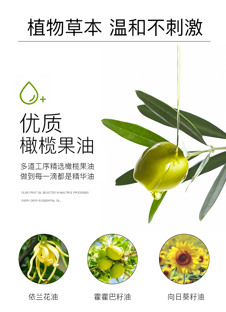Lôi dầu ô liu chăm sóc da mát xa cơ thể Chăm sóc tóc chăm sóc tóc chống khô dưỡng ẩm cho bà bầu dưỡng ẩm tinh dầu chính hãng sua tam em be