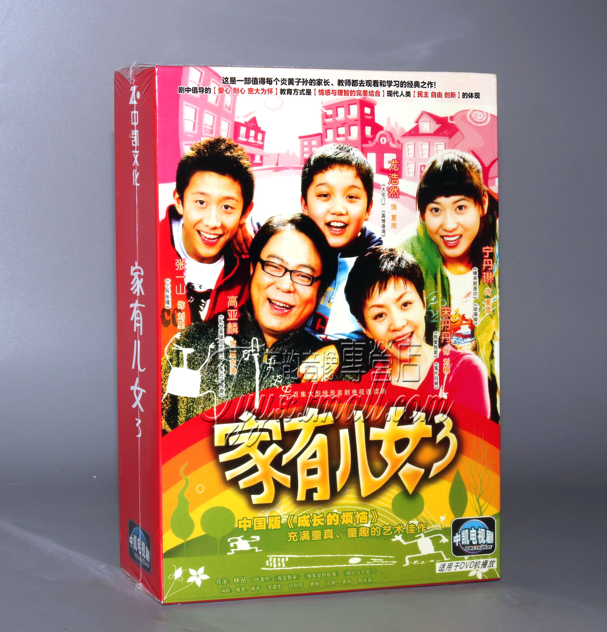 Genuine TV series has sons and daughters 3-3 3rd full episode 8DVD Song Dandanin Gao Yalin