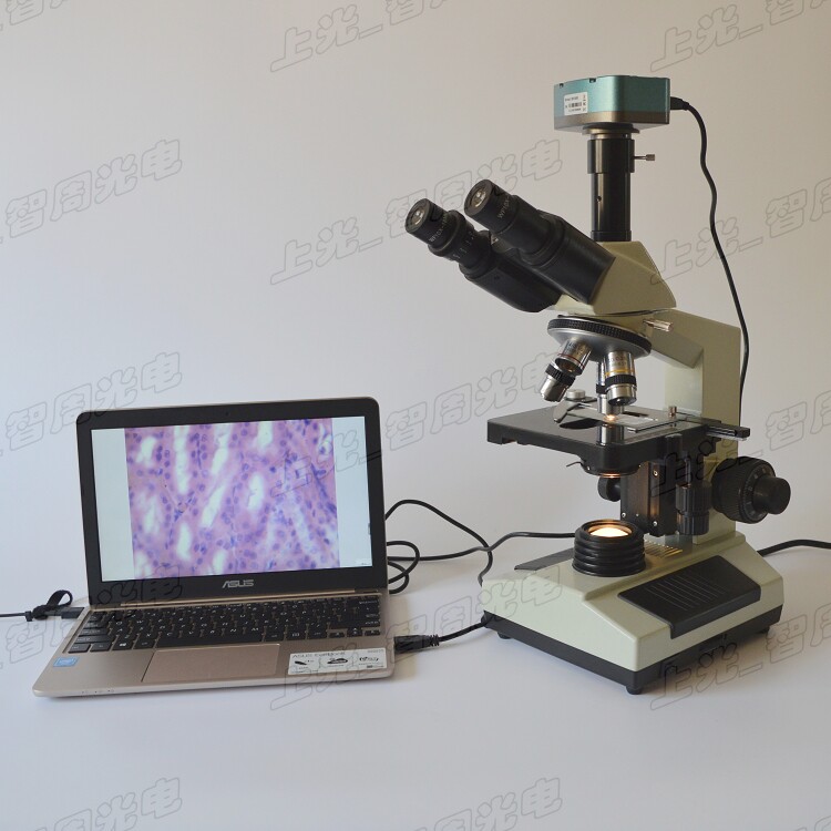 电脑生物显微镜/数码显微镜/宠物医院专用显微镜/ZL100T显微镜