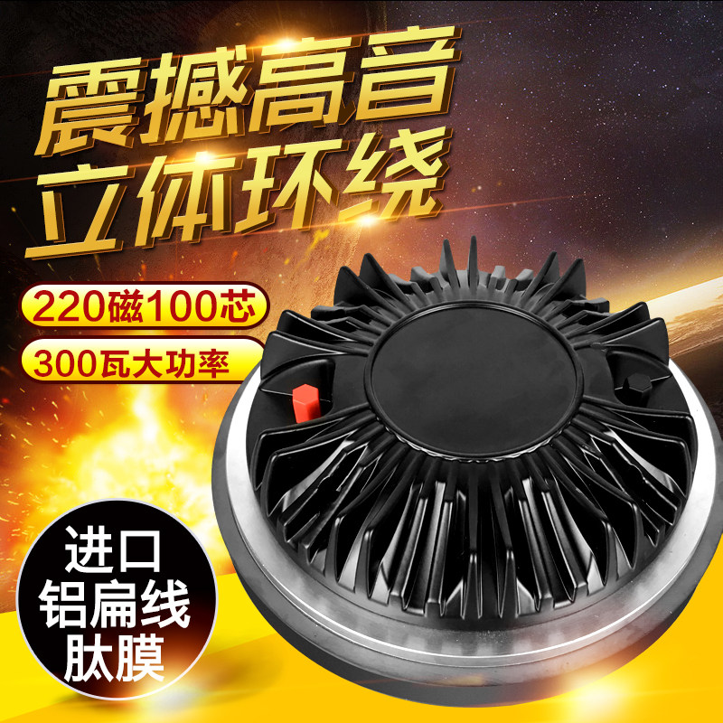 220 220 magnetic 100 core tenor head high power number corner head high power driving head outdoor performance stage KTV special