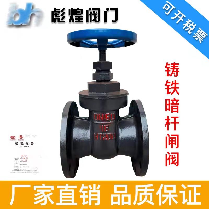 New central wire buckle gate valve gate cast iron flange gate valve DN40 50 80 100 125 150 200