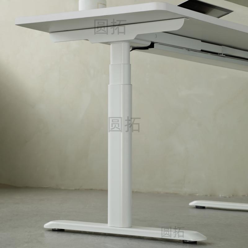 Yuantuo Electric Adjustable Desk with Oval Legs, Dual Motors, Standing Desk, Computer Desk, Electric Adjustable Study Desk