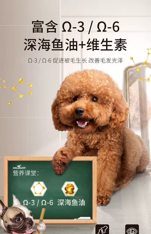 Thức ăn cho chó Phổ thông 5 Gấu bông Teddy Xiong Bomei Chó nhỏ và vừa Chó con Chó trưởng thành Golden Retriever Chó Thức ăn Thịt bò Hương vị 2,5kg - Chó Staples