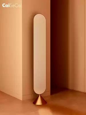 Modern Caisecai design rotating floor mirror full-length mirror living room entrance vertical super narrow mirror gold