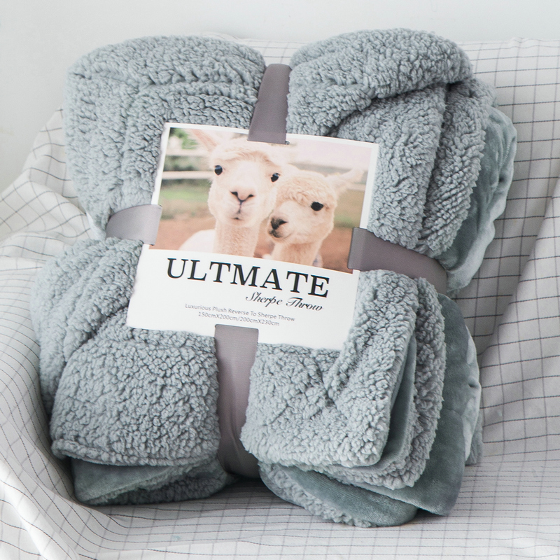 Winter double-layer thickened coral fleece flannel blanket single double blanket nap blanket lamb fleece blanket quilt