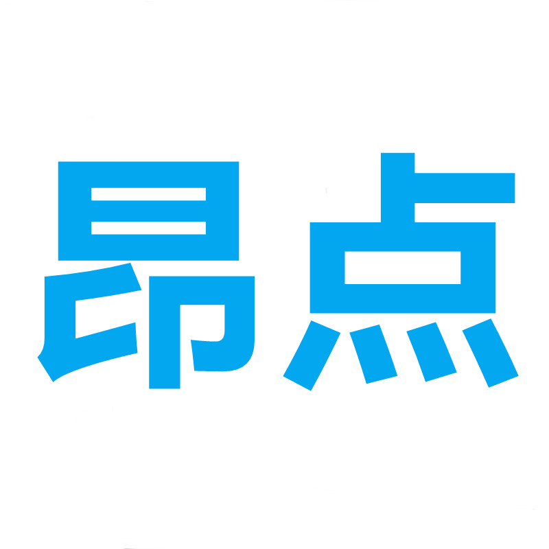 昂点电子