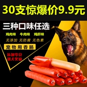 Pet Bell Pet Snake Dog Xúc xích Mèo Teddy Ham Intestines 30 Gà Thịt bò Puppy Dog Snacks