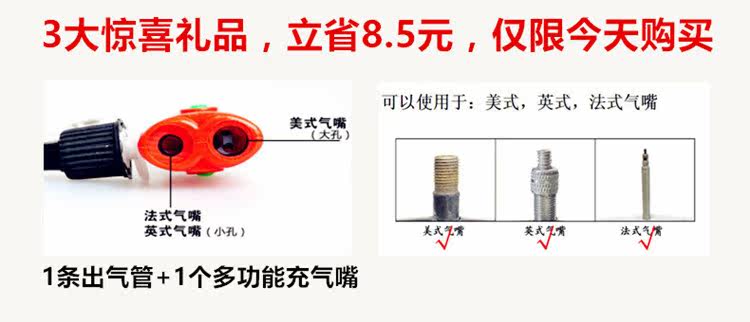 Pompe à vélo - Ref 2389096 Image 4