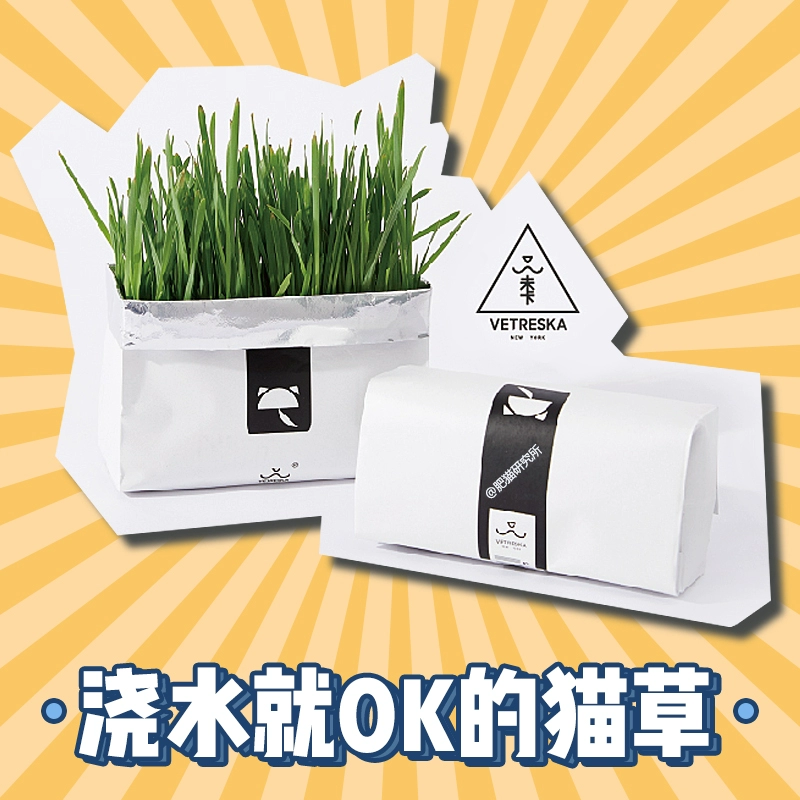Vetreska Hạt giống cỏ mèo Không cần đất Thủy canh làm rụng lông Cỏ lúa mì Thỏi Bộ đồ ăn nhẹ Catnip - Đồ ăn nhẹ cho mèo
