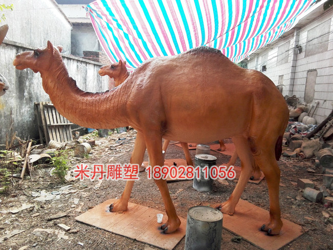 Glass fiber animal sculptures model Egyptian camel sculptures model landscaped sculptures Sculptures Camel Sculptures