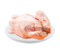 Golden Wing Changbai Mountain Old Hen Family Group 1 4kg * 3 Oriental CJ Shopping