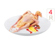 Small white-collar Chongming pigeon exclusive group 420g * 4 bags Oriental CJ Shopping