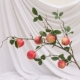 Apple, розовый