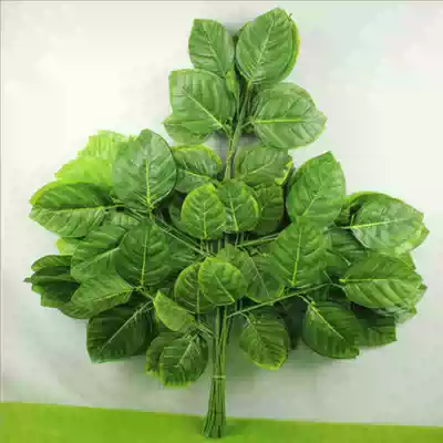 Simulation of plant leaves artificial branches engineering fake leaves plastic magnolia leaves mango leaf landscape