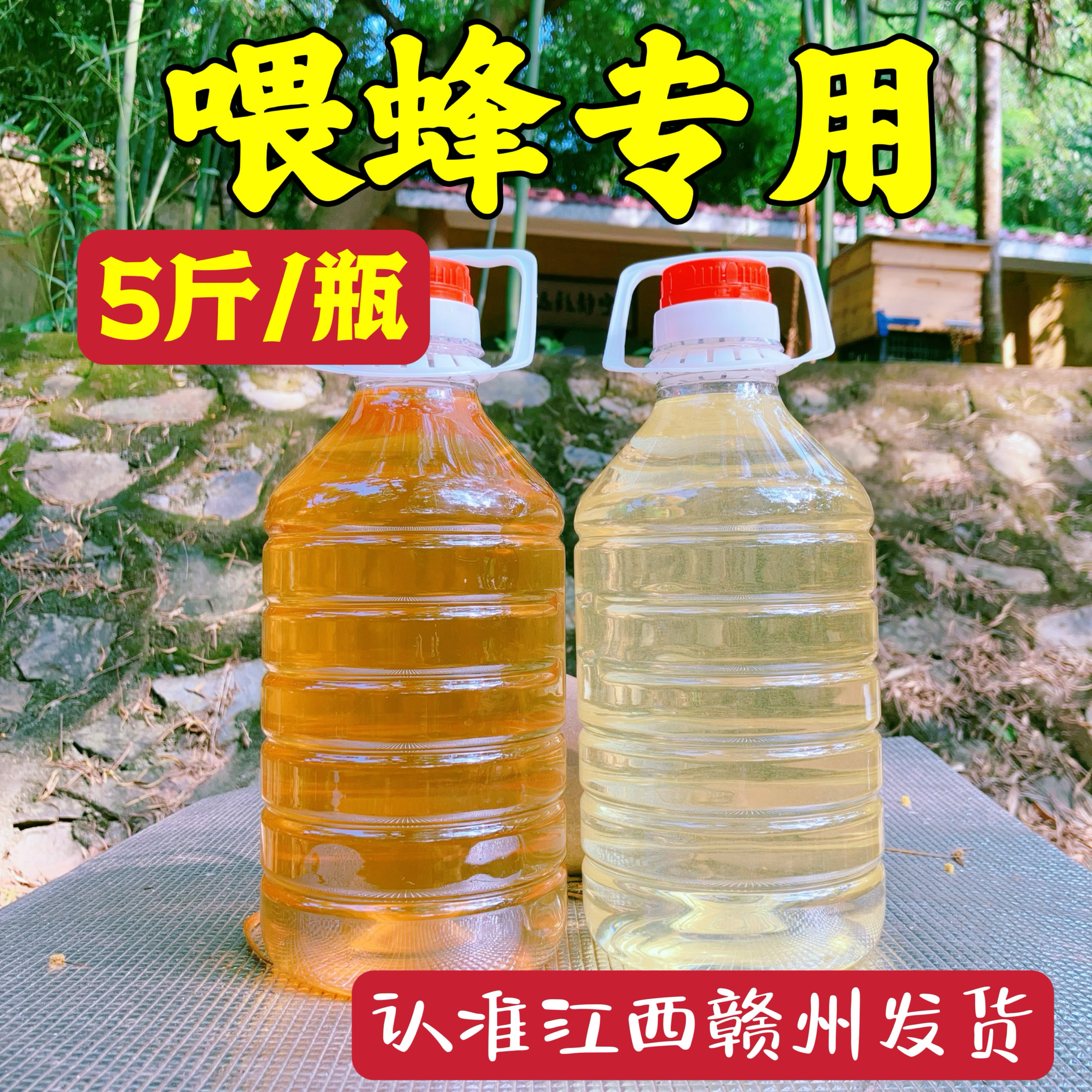 秋季春季繁蜂必备：蜂具与蜂蜜饲料大揭秘！